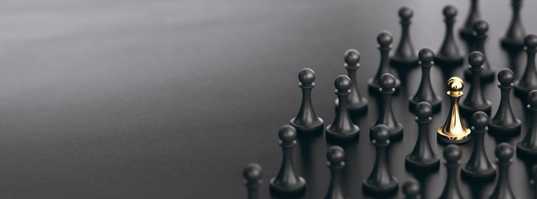 IT and ITES staffing service image